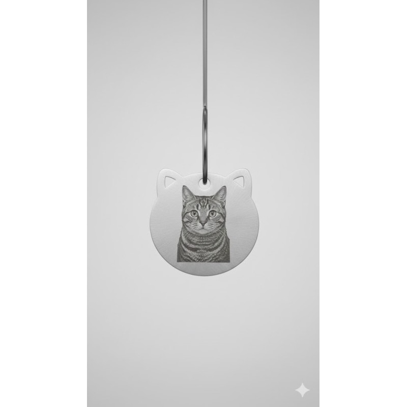 placa identificativa para gato personalizada con foto grabada