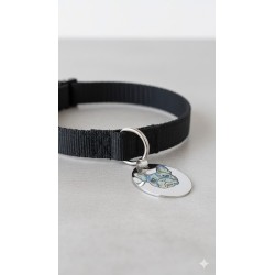 chapa identificativa para perro con codigo qr